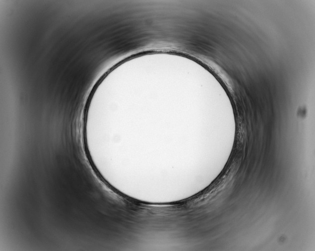 X0000103421343200810101010