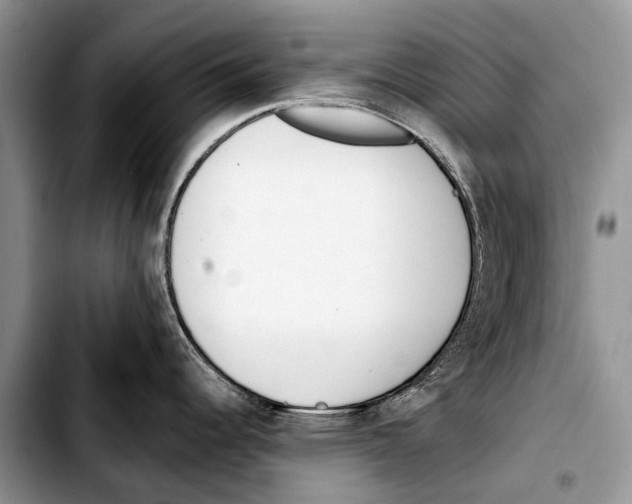 X0000103421344200810101010
