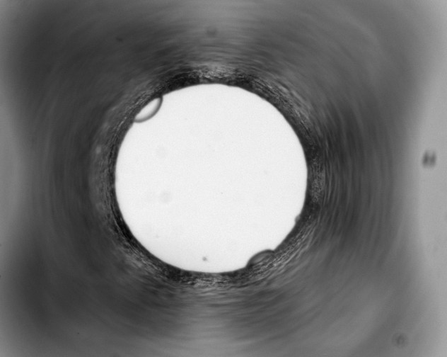 X0000103421345200810101010