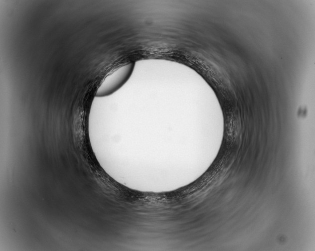 X0000103421346200810101010