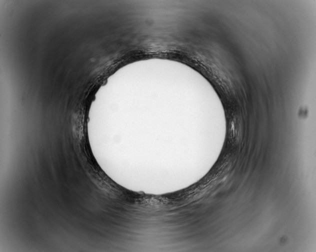 X0000103421348200810101010