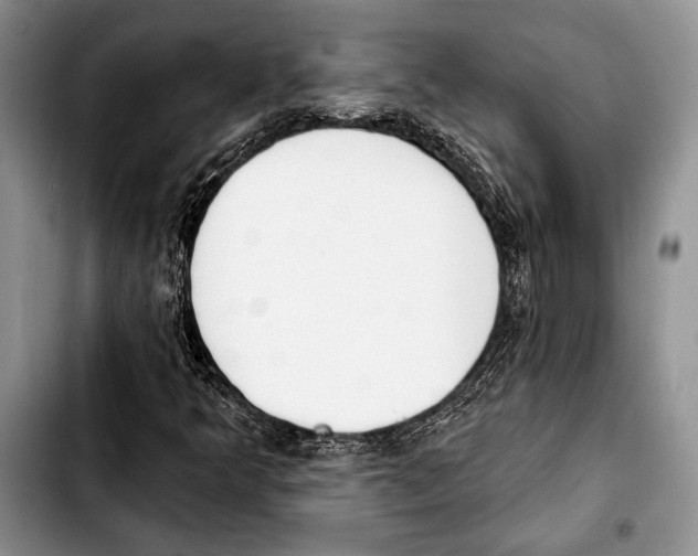 X0000103421349200810101010