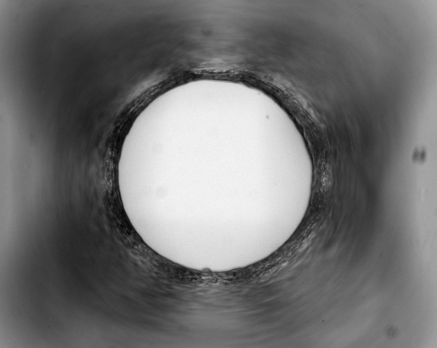 X0000103421350200810101010