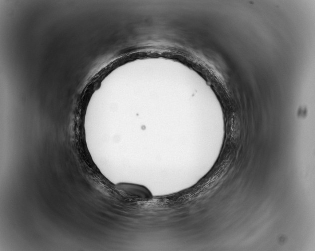 X0000103421352200810101009