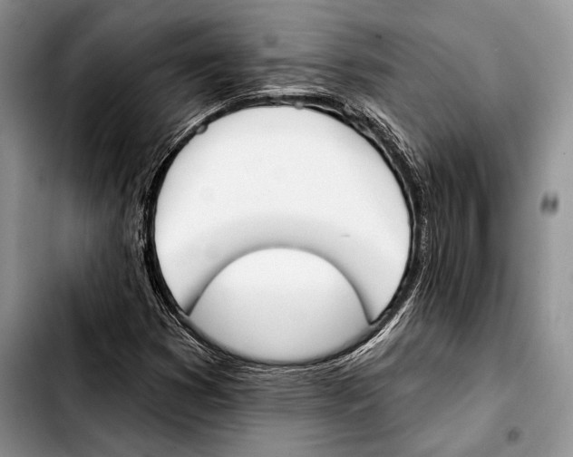 X0000103421353200810101009