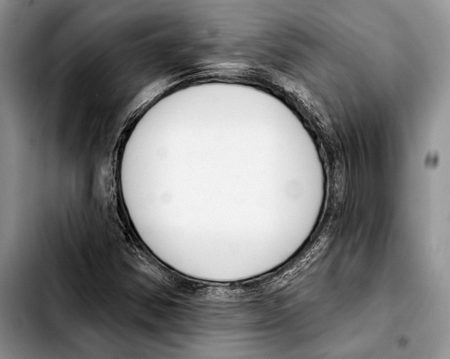 X0000103421354200810101009