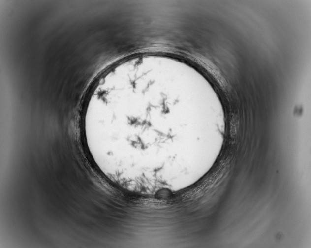 X0000103421356200810101009