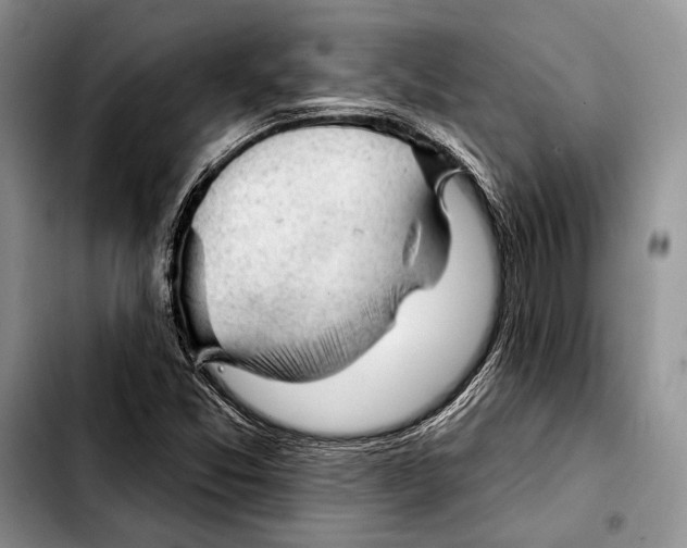 X0000103421357200810101009