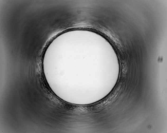 X0000103421358200810101009