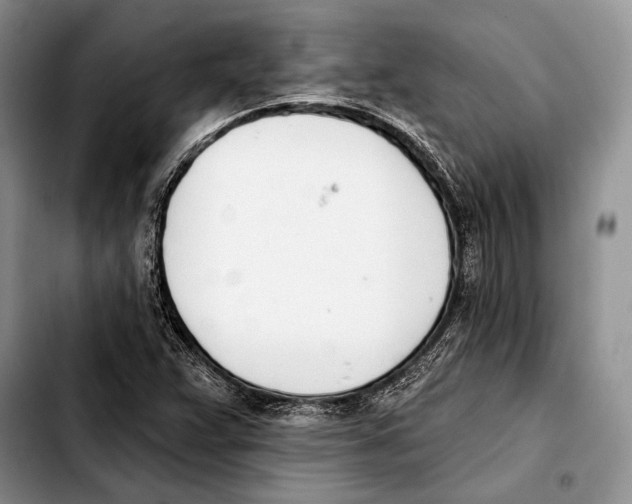 X0000103421359200810101009