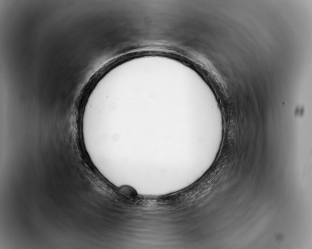 X0000103421360200810101009