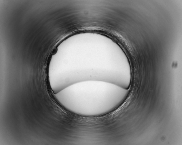 X0000103421361200810101009