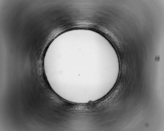X0000103421362200810101009