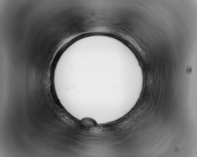 X0000103421364200810101009