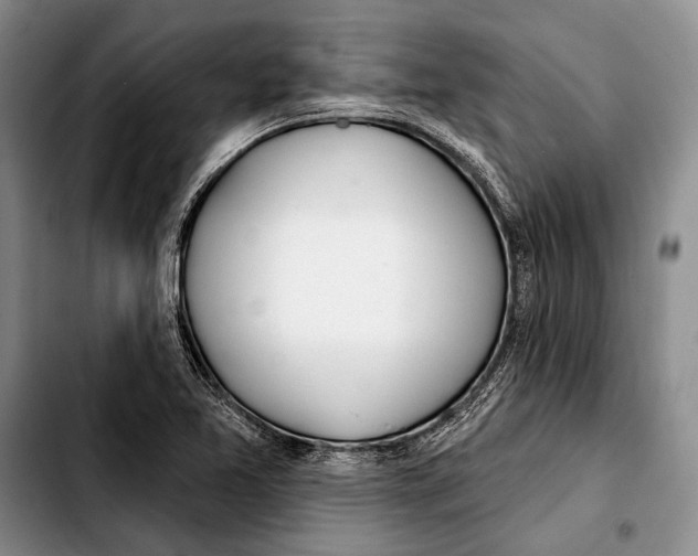 X0000103421365200810101009