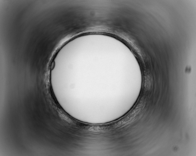 X0000103421366200810101009