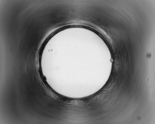 X0000103421368200810101009