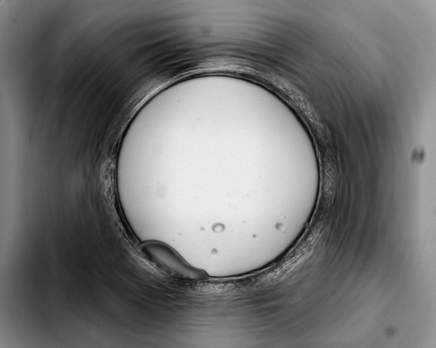 X0000103421369200810101009