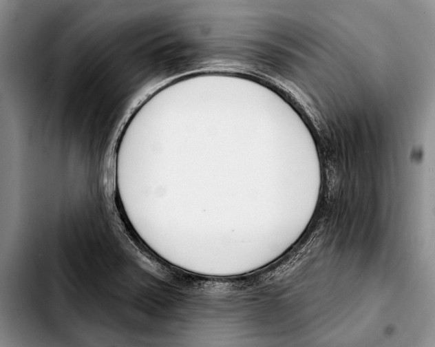 X0000103421371200810101009