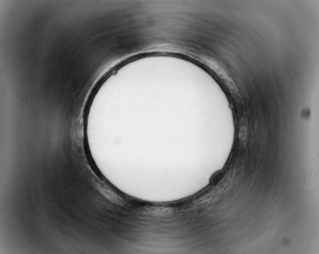 X0000103421372200810101009
