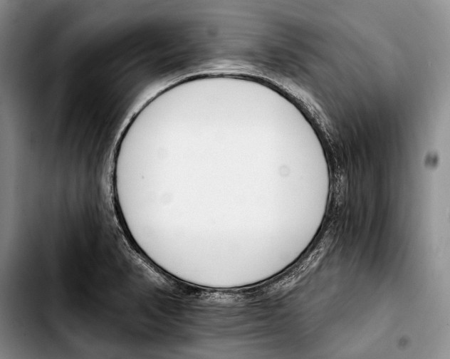 X0000103421374200810101009