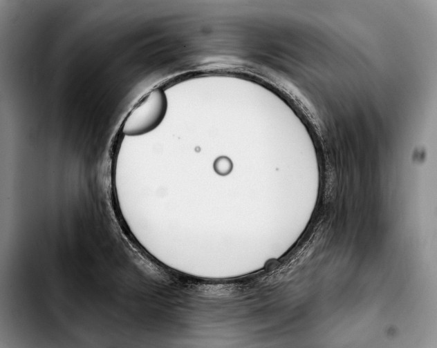 X0000103421376200810101009