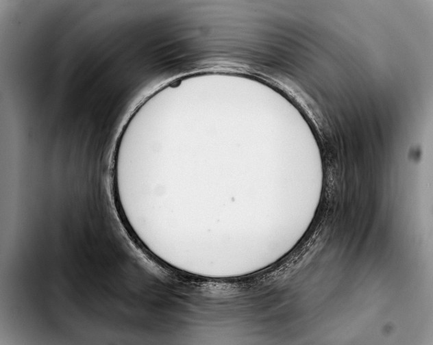 X0000103421379200810101009