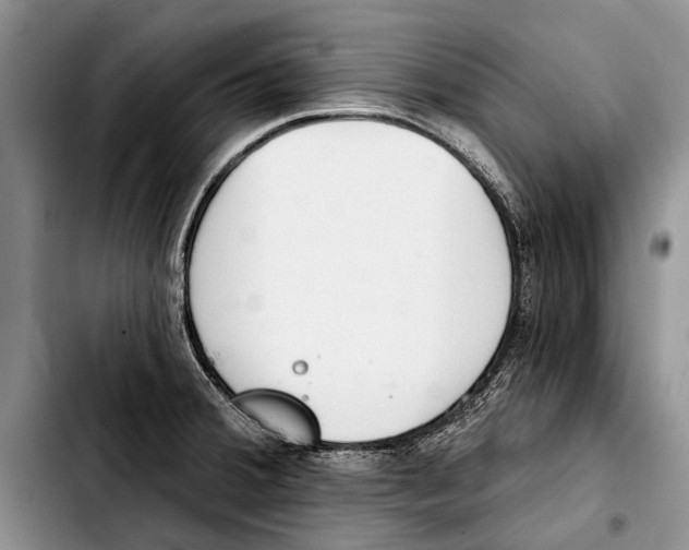 X0000103421380200810101009
