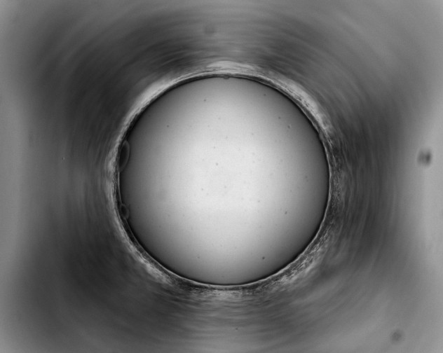X0000103421381200810101009