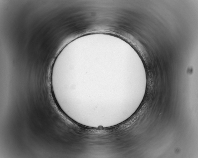 X0000103421382200810101009