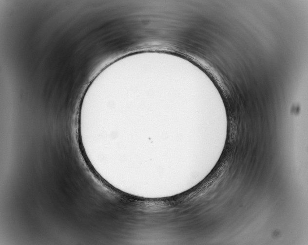 X0000103421383200810101009