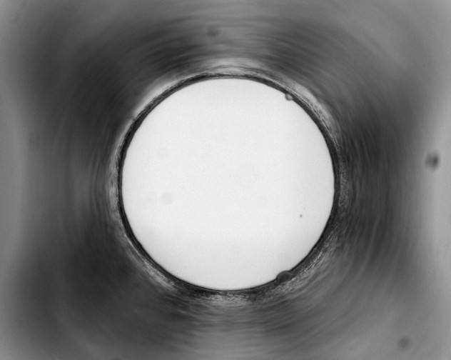 X0000103421384200810101009