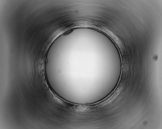 X0000103421385200810101009