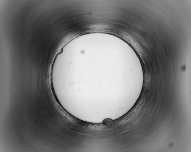 X0000103421386200810101009