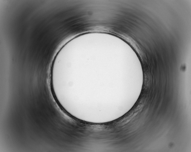 X0000103421387200810101009