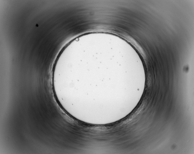 X0000103421388200810101009