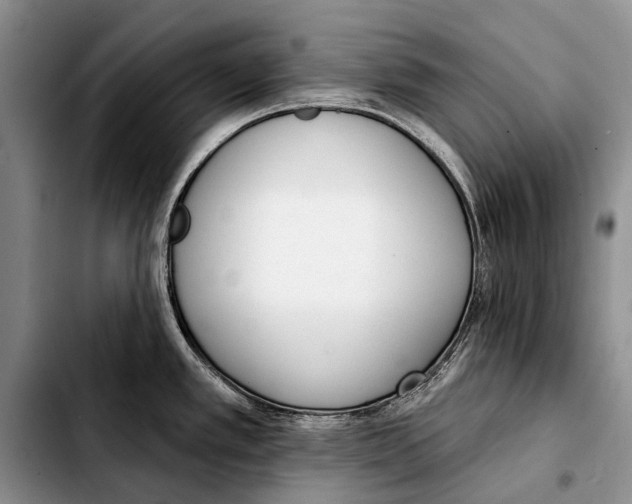 X0000103421389200810101009