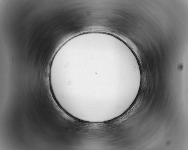 X0000103421390200810101009