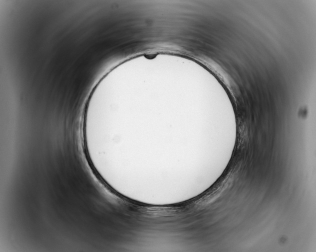 X0000103421391200810101009