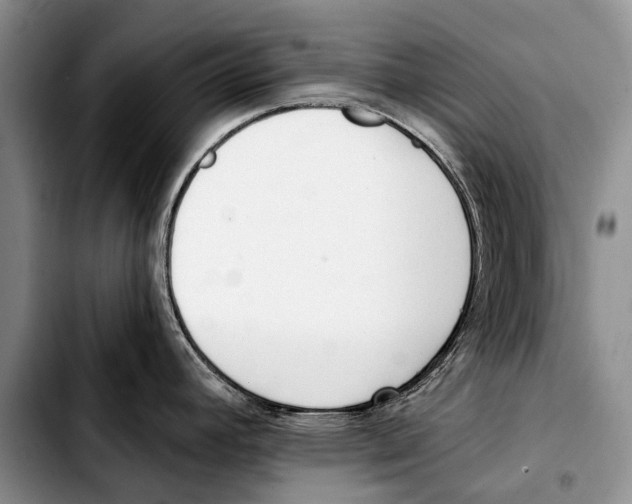 X0000103421392200810101009