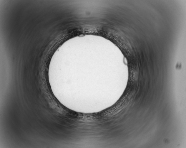 X0000103421393200810101008