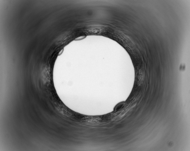 X0000103421394200810101008