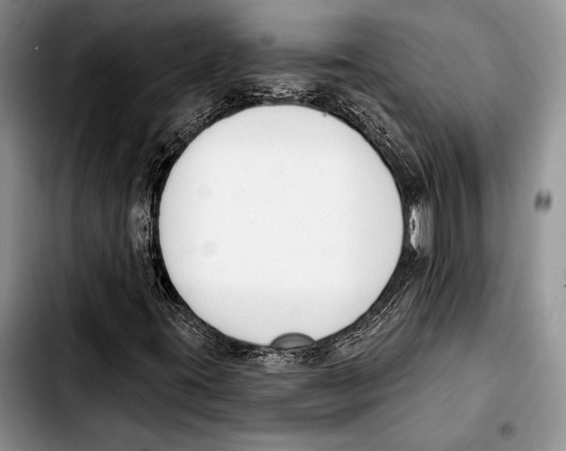 X0000103421395200810101008