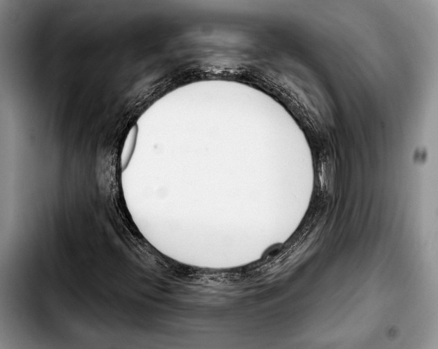 X0000103421396200810101008
