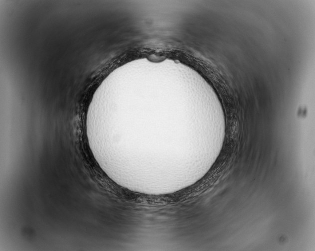 X0000103421397200810101008