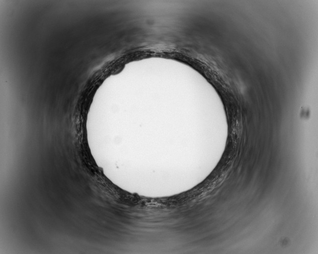 X0000103421398200810101008
