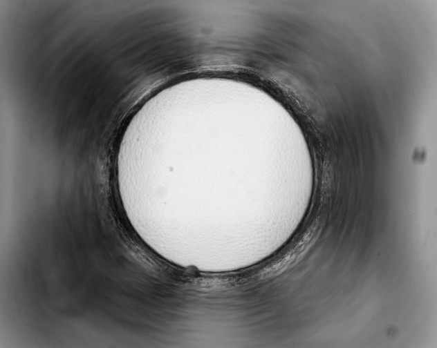 X0000103421401200810101008