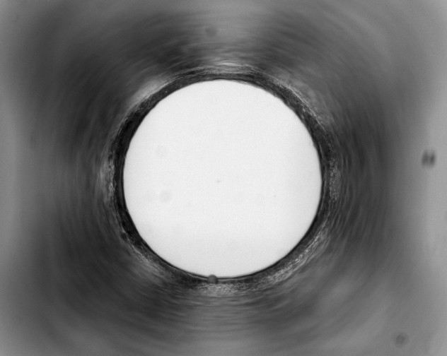 X0000103421402200810101008
