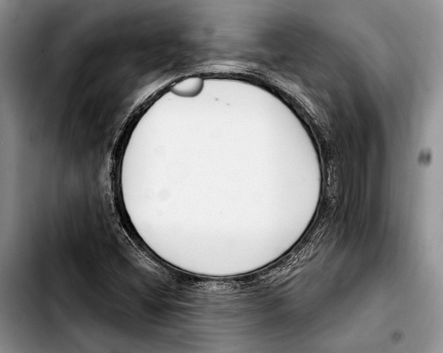 X0000103421404200810101008