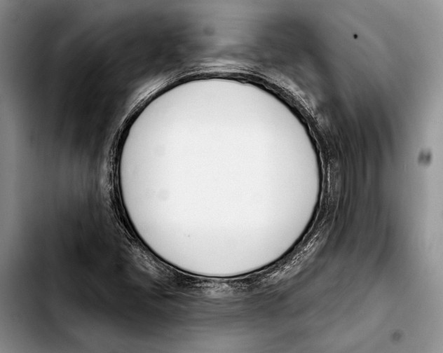 X0000103421405200810101008